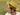 Finley men's wool felt fedora in mustard, Life style