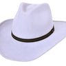 Wool Felt Hat Mustang Silverbelly